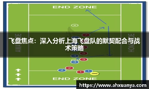 飞盘焦点：深入分析上海飞盘队的默契配合与战术策略